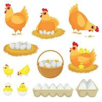 kip eieren. kip boerderij ei, nest en dienblad van kippen eieren tekenfilm vector illustratie reeks