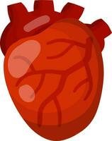 hart. menselijk intern orgaan. geneeskunde en cardiologie. pompen bloed door lichaam. element voor leerboek en medisch onderwijs. slagaders en rood aderen. tekenfilm vlak illustratie vector