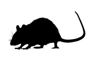 Rat silhouet geïsoleerd Aan wit achtergrond. vector illustratie