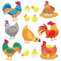 schattig huiselijk kip. boerderij fokken kip, gevogelte haan en kippen met kuiken. kippen tekenfilm vector reeks