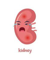 ziek nier met pijn pijn of ziekte. verdrietig tekenfilm karakter nier, lichaam orgaan gewond of ongezond. menselijk tekenfilm anatomie, kinderen geneesmiddel. vector illustratie.