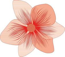 mooi frangipanipleria bloem. vector