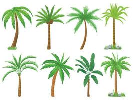 palm bomen. tropisch boom groen bladeren, strand palmen en retro Californië groen geïsoleerd vector reeks