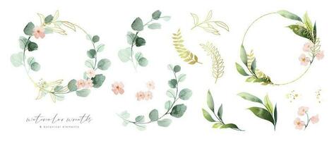 luxe botanisch goud bruiloft kader elementen verzameling. reeks van veelhoek, cirkel, schittert, blad takken, bloem, eucalyptus. elegant gebladerte ontwerp voor bruiloft, kaart, uitnodiging, groet. vector