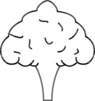 bloemkool of broccoli icoon in zwart schets. vector