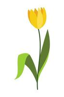 voorjaar element illustratie geïsoleerd Aan wit achtergrond. tuinieren en voorjaar hand- getrokken elementen. bloemen en dier voorjaar tekening set. schattig reeks van voorjaar clipart, Pasen elementen. vector