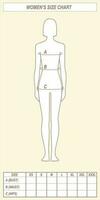 vrouwen kleding grootte grafiek. lichaam afmetingen. borstbeeld, taille, heupen. voorkant visie. vector