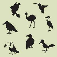 een groep van verschillend vogelstand silhouet illustratie vector