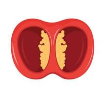 chili peper voor de helft groente icoon vector