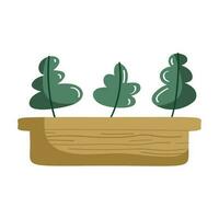 houten kamerplant in pot icoon vector