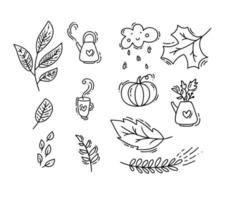 set van vector monoline doodle floral elementen. herfstcollectie grafisch ontwerp. kruiden, bladeren, laarzen, theepot, beker en pompoen. hand getekend thanksgiving modern herfst decor