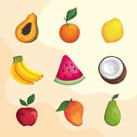 negen tropische vruchten vector