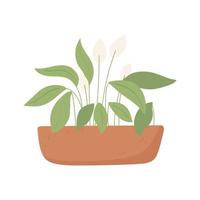 plant in pot vector