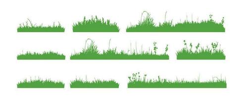 gras veld- grens geïsoleerd Aan wit achtergrond. silhouet tuin gras gazon horizontaal elementen vector illustratie