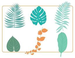 reeks van tropisch fabriek blad groen monstera palm Aan wit achtergrond. vector element ontwerp illustratie.