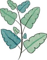 rustiek biologisch bladeren botanisch schetsen illustratie fabriek kunst vector