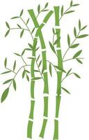 biologisch bamboe bladeren bomen illustratie vector