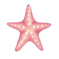 zeester schelp kleur roze geïsoleerde pictogram vector