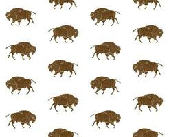 vector naadloos patroon van hand- getrokken wild bizon