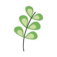 groene tak met bladeren plant decoratieve pictogram vector