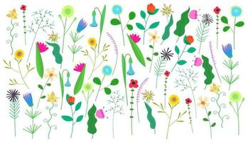 bloemen weide Aan wit achtergrond. tekening voorjaar wild bloeiend bloemen gazon. kruiden planten decoratie. delicaat zomer veld- wilde bloemen afdrukken. botanisch abstract bloei omslag. vector illustratie