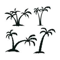 vector silhouet van een kokosnoot boom. geïsoleerd hand- getrokken illustratie