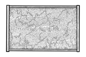 honing kader met bijenwas. honingraat in was- fundament en houten kader. vector illustratie