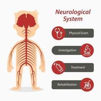 neurologisch systeem en medische lijn pictogram vector