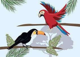 wilde toekan- en papegaaivogels die in de jungle vliegen vector