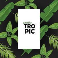 tropic woord in vierkant frame met bladeren planten groene natuur poster vector