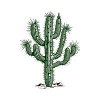 doornig groen cactus vector illustratie. stekelig of netelig fabriek. woestijn planten dat zijn bestendig naar droog temperaturen