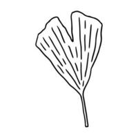 ginkgo biloba blad geïsoleerd Aan wit achtergrond. vector hand getekend illustratie in schets stijl. perfect voor kaarten, decoraties, logo, divers ontwerpen.