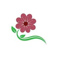 schoonheid plumeria pictogram bloemen ontwerp illustratie sjabloon vector