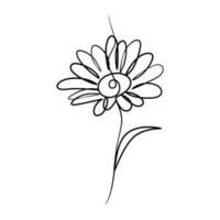 doorlopend een lijn kunst tekening van schoonheid madeliefje bloem vector