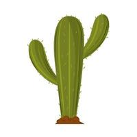 cactus plant aard vector