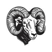 RAM, wijnoogst logo lijn kunst concept zwart en wit kleur, hand- getrokken illustratie vector