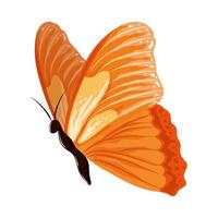 prachtige aquarel vlinder vector