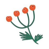 hand- getrokken vector clip art van oranje lijsterbes Afdeling. decoratief bloemen element in tekening stijl