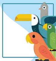 schattige vogels dieren vector