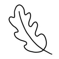 hand- getrokken lijn kunst van eik blad. decoratief bloemen element in tekening stijl vector
