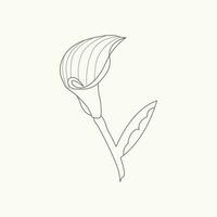 hand getekend gemakkelijk essentieel bloem schets illustratie vector