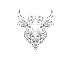 stier schets, stier gezicht, stier hoofd schetsen, stier mascotte logo vector