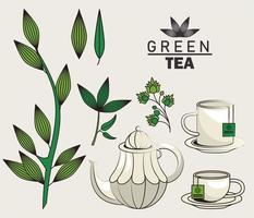 groene thee belettering poster met keukengerei en bladeren vector