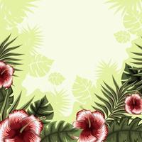 zomer tropische bloemen achtergrond vector
