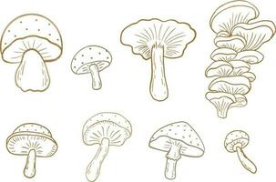reeks van champignons illustratie vector