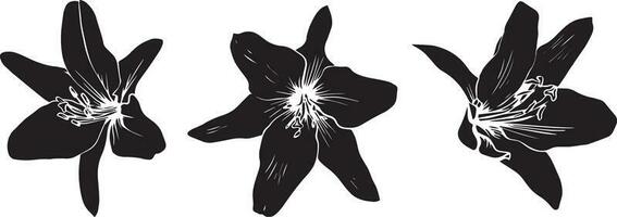 vector reeks van zwart silhouet lelie bloemen geïsoleerd Aan wit achtergrond