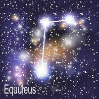 equuleus-sterrenbeeld met prachtige heldere sterren op de achtergrond van de kosmische hemel vectorillustratie vector