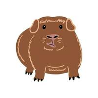schattig grappig dik Guinea varken staan, voorkant visie. vector illustratie van een klein huisdier. knaagdier illustratie.