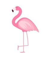 schattige roze flamingo pictogram vectorillustratie vector