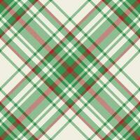 plaid patroon vector. controleren kleding stof textuur. naadloos textiel ontwerp voor kleren, papier afdrukken. vector